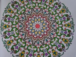 whatsapp bild 2025-04-09 um 17.57.03_24352c73